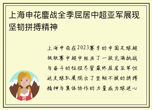 上海申花鏖战全季屈居中超亚军展现坚韧拼搏精神